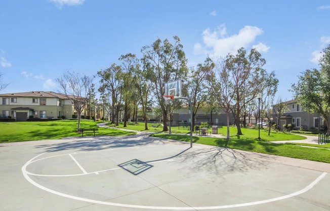 Outdoor Basketball Court Onsite