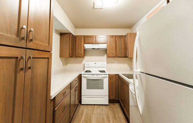 1 bed, 1 bath, 800 sqft, $1,560, Unit S-259