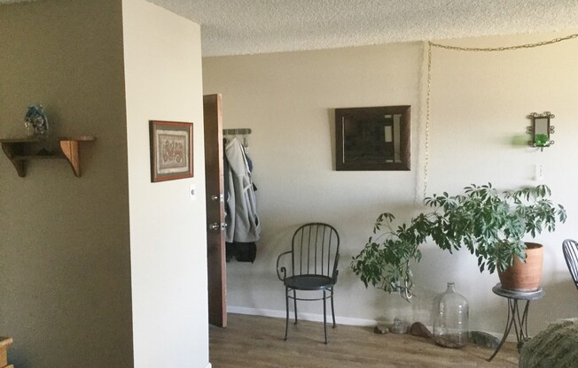 Spacious Modern Condo in Gunbarrel