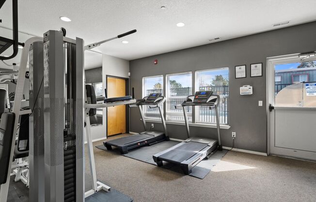 2 beds, 1 bath, 775 sqft, $1,304