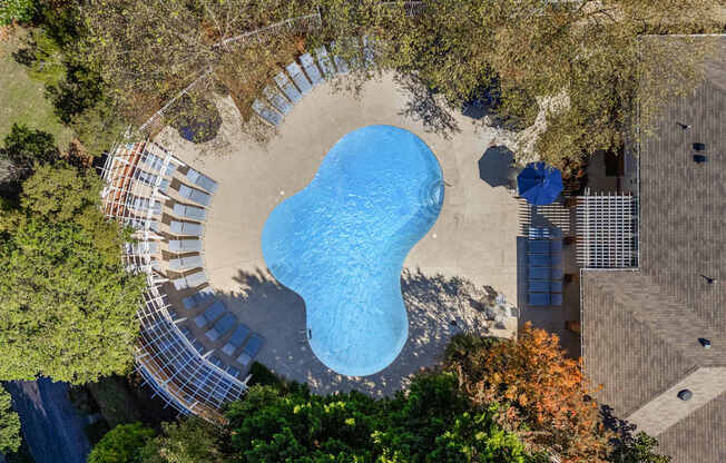 An aerial view of a swimming pool surrounded by trees.