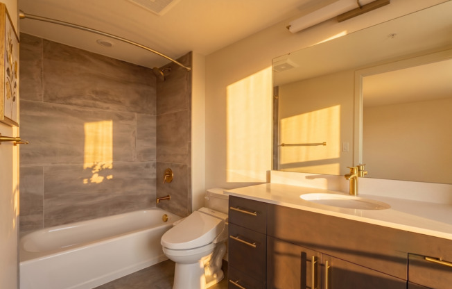 Studio, 1 bath, 348 sqft, $1,473, Unit 214