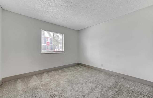 A room with a carpeted floor and a window showing a street view.
