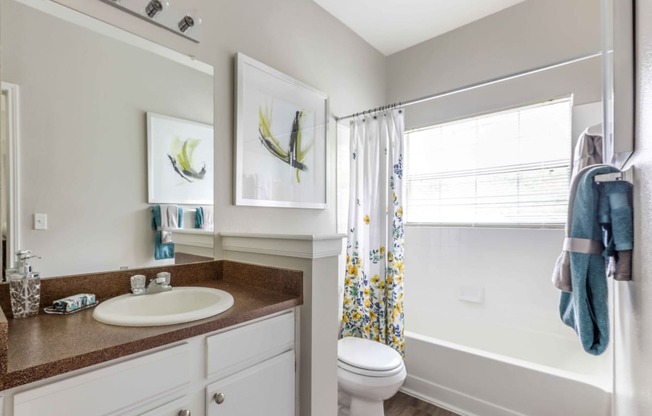 a bathroom with a sink and a toilet and a shower