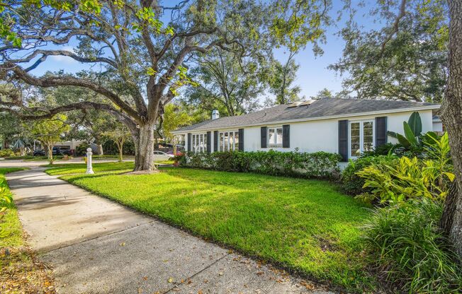 Beautiful Home on Davis Island