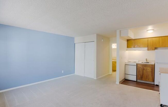 Studio, 1 bath, 375 sqft, $1,075, Unit 213