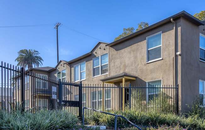 A house with a black fence and a palm tree in front.