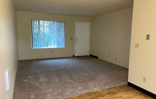 3 beds, 1 bath, 906 sqft, $1,799, Unit 14