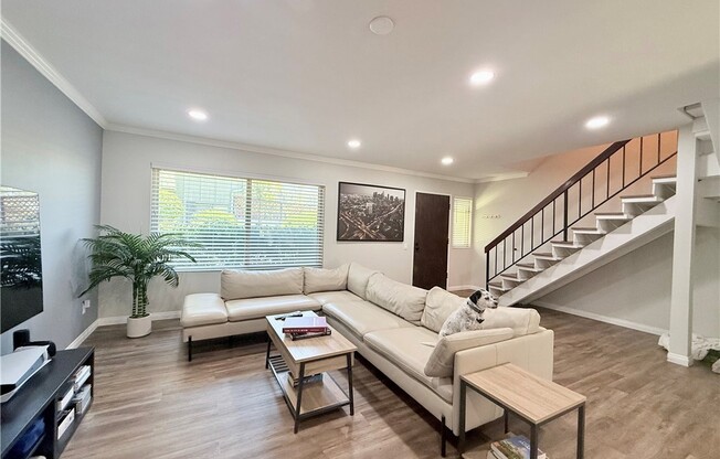 20120 20120 RUNNYMEDE ST
