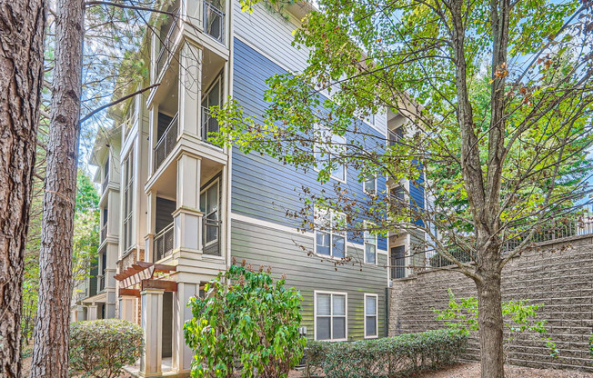 our apartments have a spacious courtyard with trees