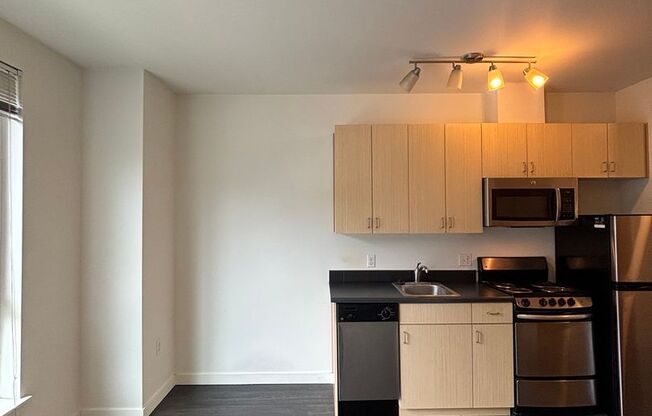 Studio, 1 bath, 236 sqft, $1,045, Unit 103