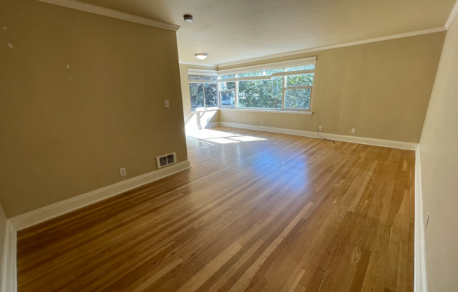 1 bed, 1 bath, 588 sqft, $1,625, Unit 101