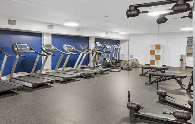 A gym with treadmills and weight machines.