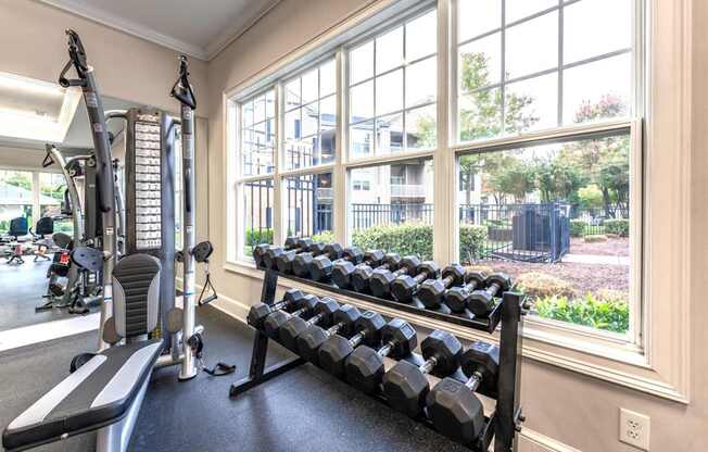 A gym with a row of dumbbells and a bench in front of a window.