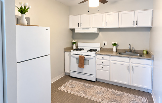 Studio, 1 bath, 366 sqft, $1,225