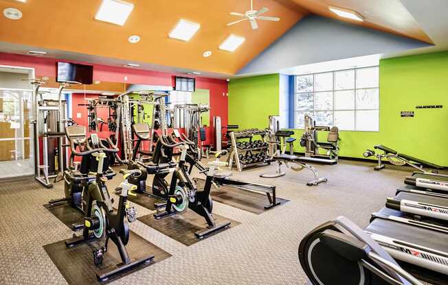 A gym with a variety of exercise equipment including treadmills, stationary bikes, and weight machines.