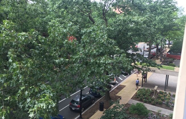 1 bed, 1 bath, 720 sqft, $3,900, Unit 0430