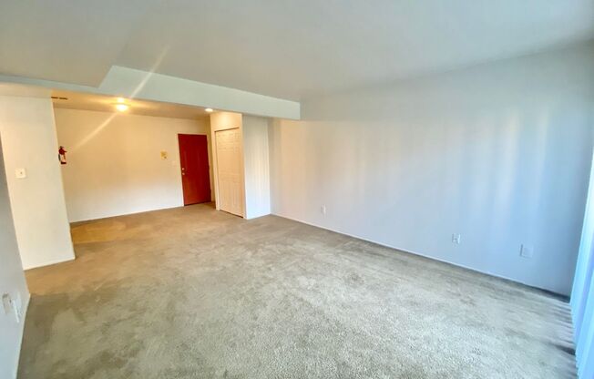 1 bed, 1 bath, 700 sqft, $1,075, Unit #102
