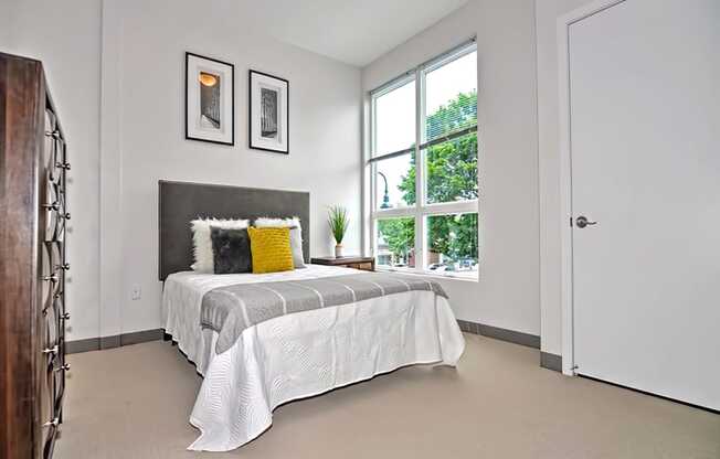 One Mansfield Bedroom with Plush Carpeting and Large Windows