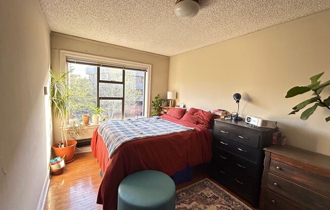 1 bed, 1 bath, 544 sqft, $1,750, Unit Unit 301