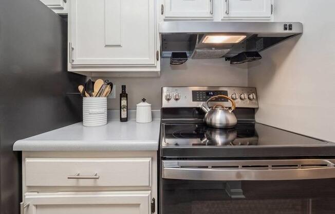 Kitchen Appliances at Williamsburg South, Pittsburgh