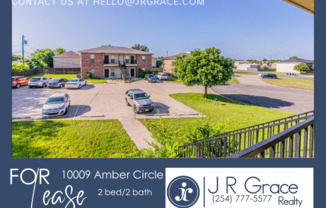 10009 AMBER CIR