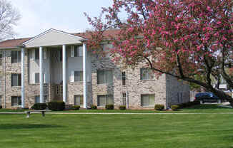 our apartments showcase a beautiful lawn