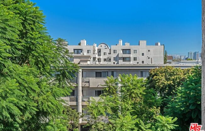 Studio, 1 bath, 405 sqft, $2,700, Unit 546