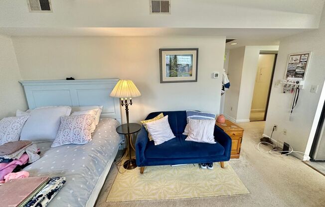 Château Living in this Dupont Circle Delightful Studio- Blocks from the Metro!