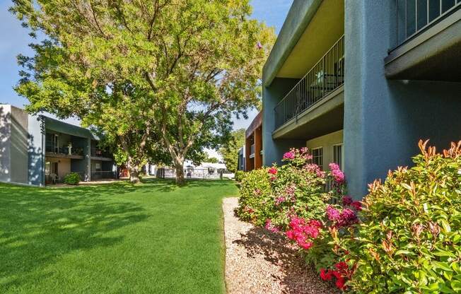 Exterior Community Building and Landscape at Indigo Park Apartments in Albuquerque, NM.