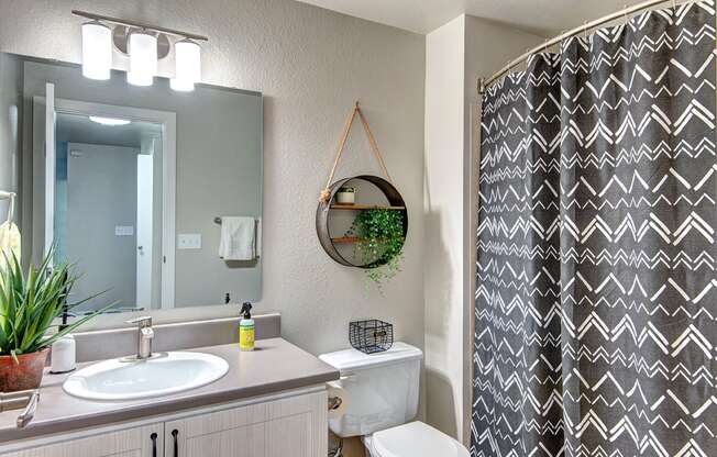 Everett Apartments-  The Lynx Bathroom