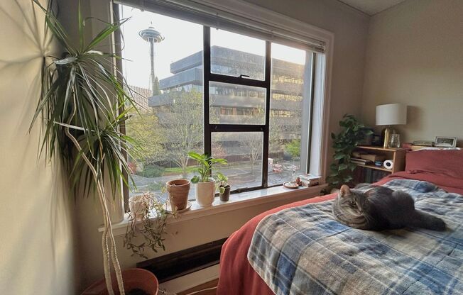 1 bed, 1 bath, 544 sqft, $1,750, Unit Unit 301