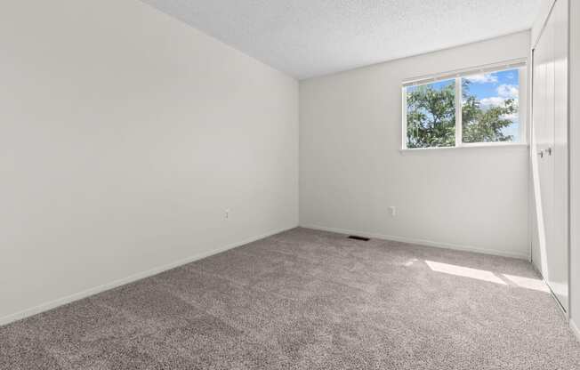 an empty room with carpet and a window