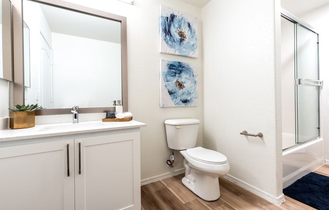 a bathroom with a mirror and a toilet and a sink