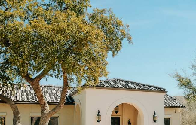 A small white building with a tree in front of it.