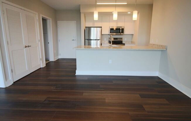 1 bed, 1 bath, 534 sqft, $1,495, Unit APT 403