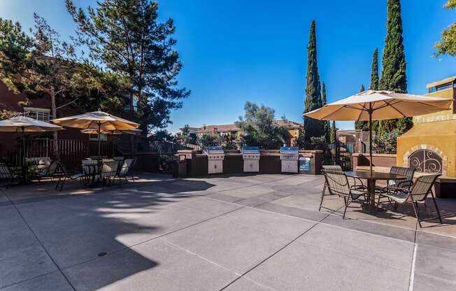 A patio with chairs and umbrellas is surrounded by trees.