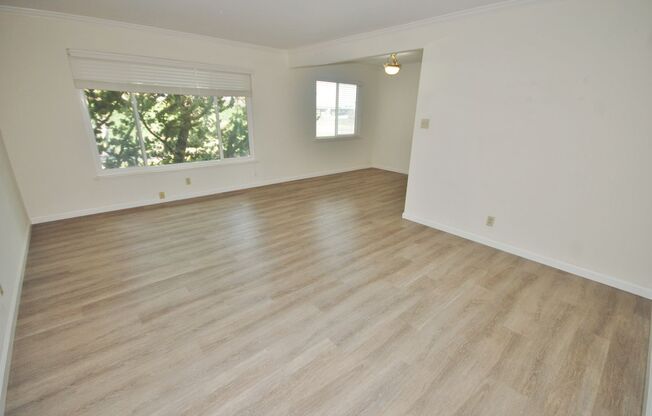 516 E. Hillsdale Ct.