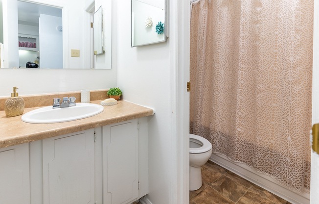 a bathroom with a sink and a toilet and a shower