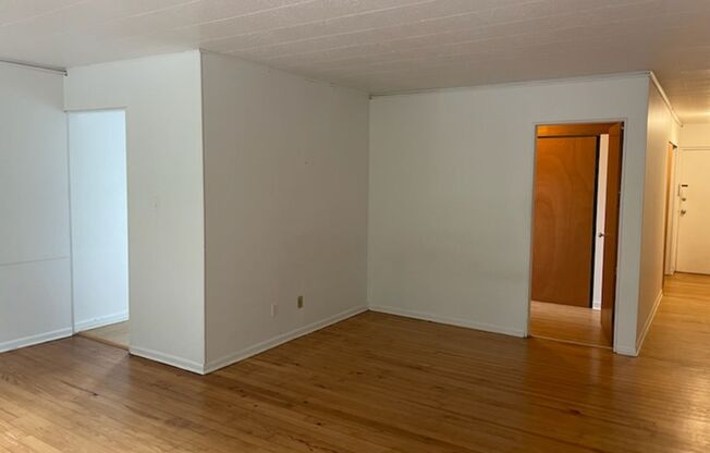 Studio, 1 bath, 487 sqft, $1,300, Unit Fifth 208