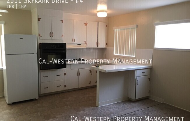 2511 SKYKARK DR