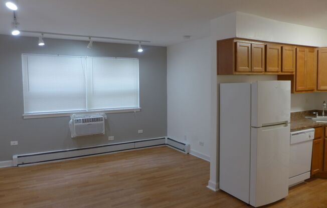 Studio, 1 bath, 400 sqft, $1,195, Unit 306