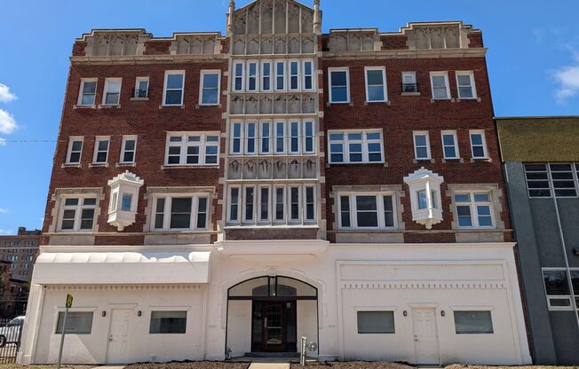 Stunning One Bedroom Apartments in the Heart of Detroit