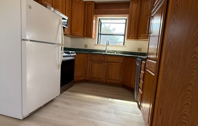 Mitzi Drive 4173
