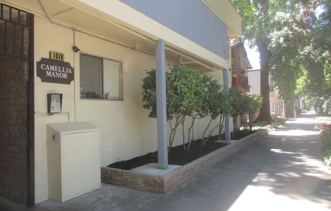 Camellia Manor Apartments