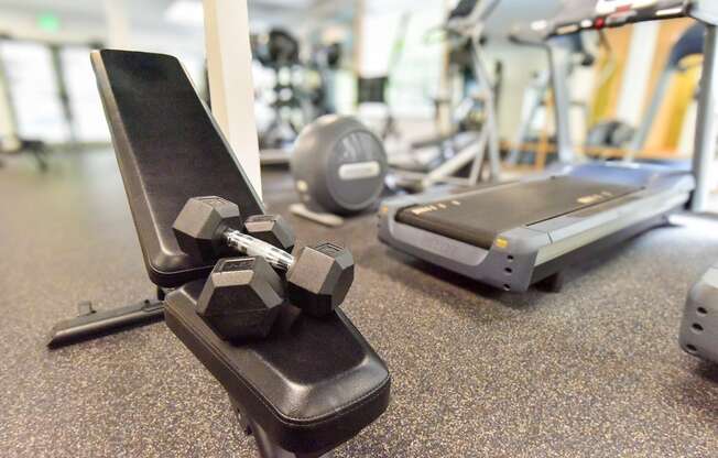 a dumbbell on a chair in the gym