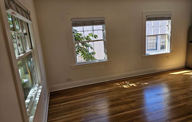 Studio, 1 bath, 337 sqft, $1,249, Unit 29