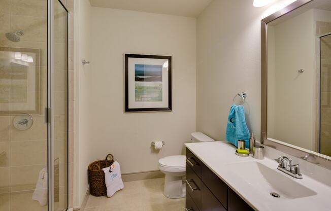 Inspire - Bathroom with Shower