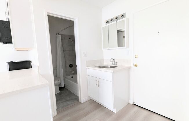 Studio, 1 bath, 263 sqft, $1,399, Unit 308