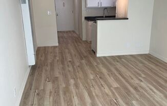 Studio, 1 bath, $1,625, Unit 11